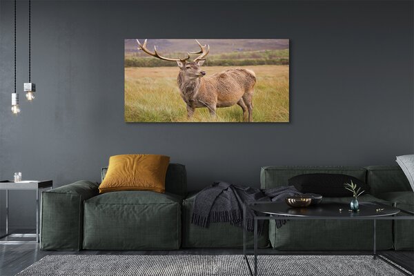 Tablouri canvas cerb câmp
