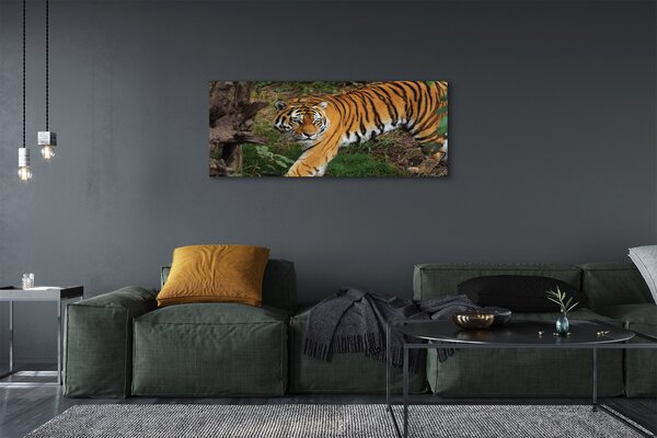 Tablouri canvas Woods tigru