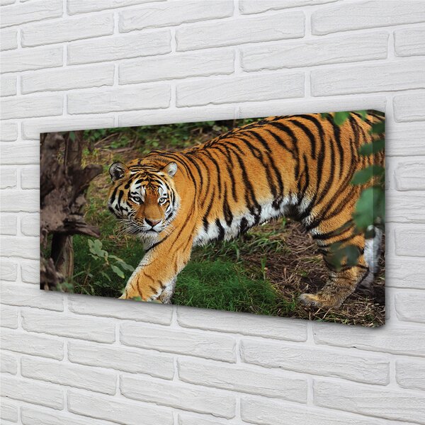 Tablouri canvas Woods tigru