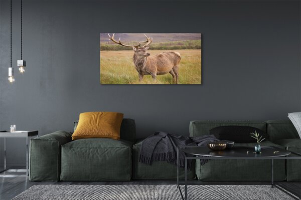 Tablouri canvas cerb câmp
