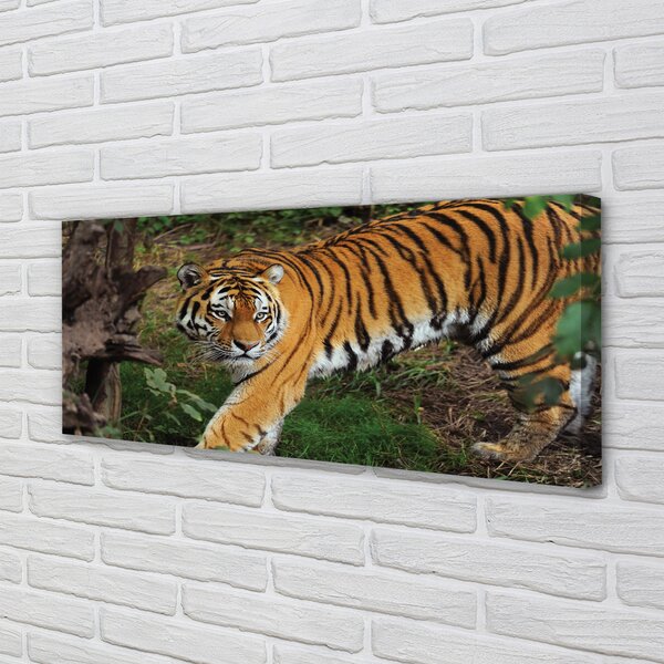 Tablouri canvas Woods tigru