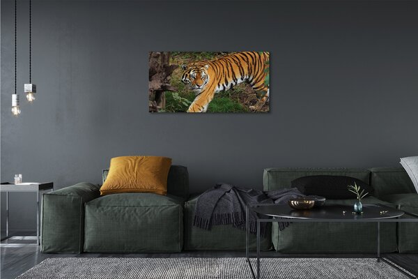 Tablouri canvas Woods tigru