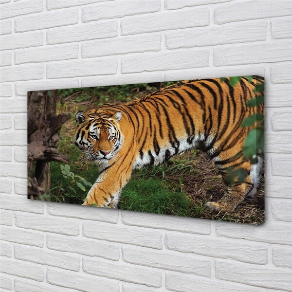 Tablouri canvas Woods tigru