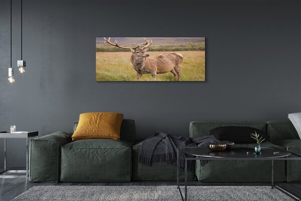 Tablouri canvas cerb câmp