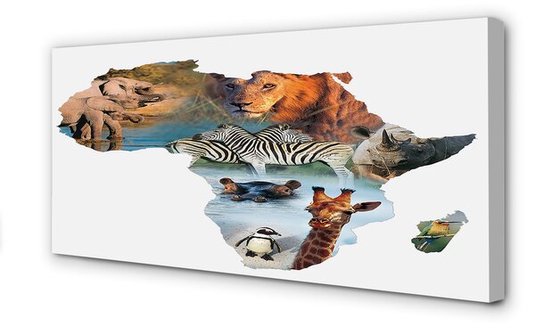 Tablouri canvas Zebra girafa tigru