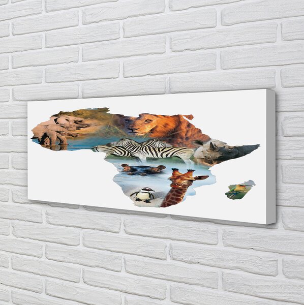 Tablouri canvas Zebra girafa tigru
