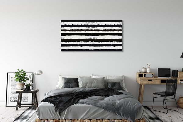 Tablouri canvas dungi neregulate de o zebră