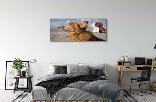 Tablouri canvas Plaja de câine Brown