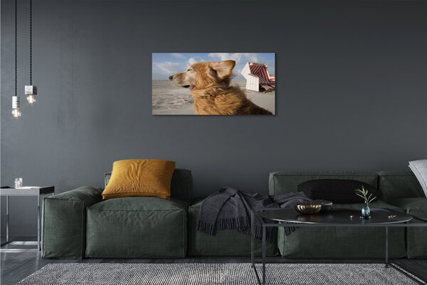 Tablouri canvas Plaja de câine Brown