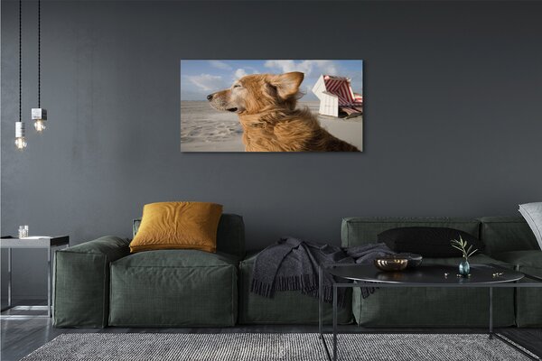 Tablouri canvas Plaja de câine Brown