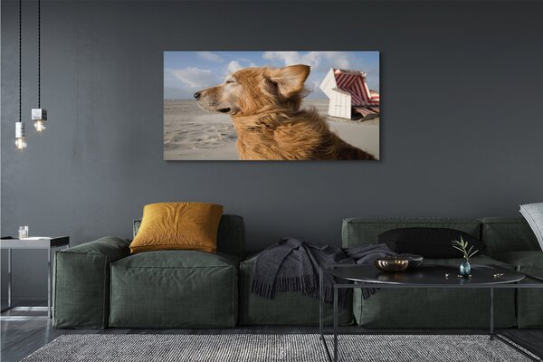 Tablouri canvas Plaja de câine Brown