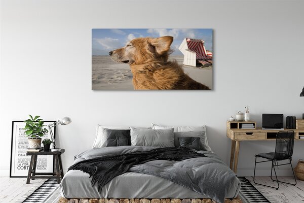 Tablouri canvas Plaja de câine Brown