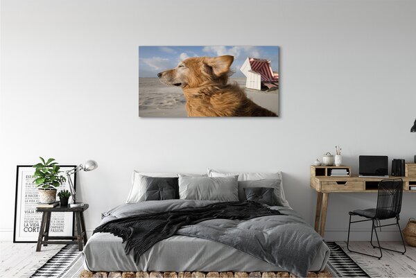 Tablouri canvas Plaja de câine Brown