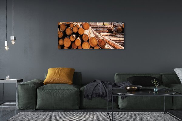 Tablouri canvas Bilele din lemn