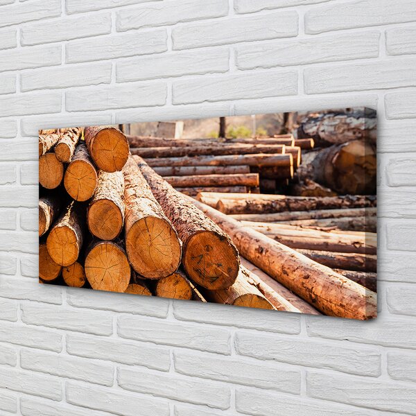 Tablouri canvas Bilele din lemn