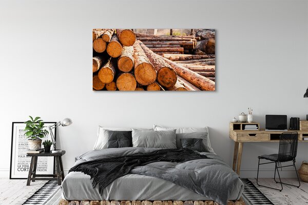 Tablouri canvas Bilele din lemn