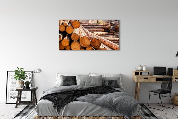 Tablouri canvas Bilele din lemn
