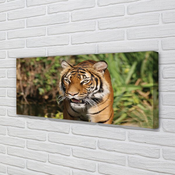 Tablouri canvas Woods tigru