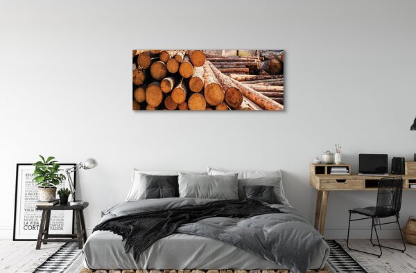 Tablouri canvas Bilele din lemn