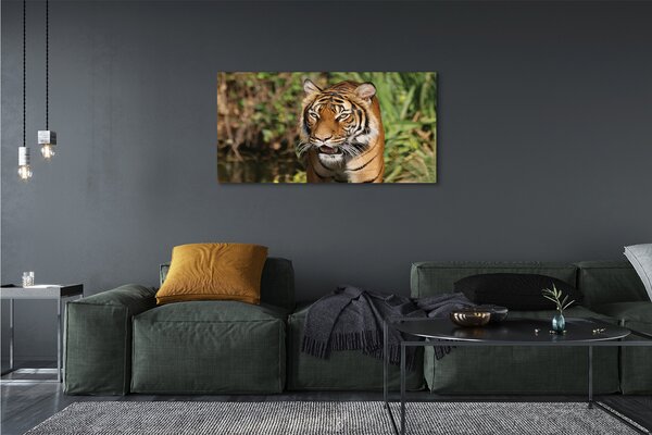Tablouri canvas Woods tigru