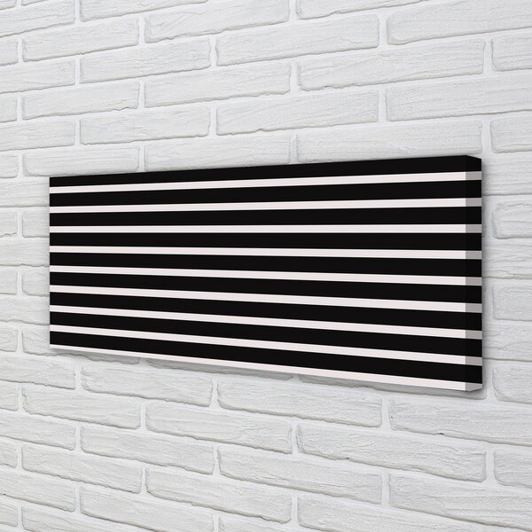 Tablouri canvas dungi negre regulate