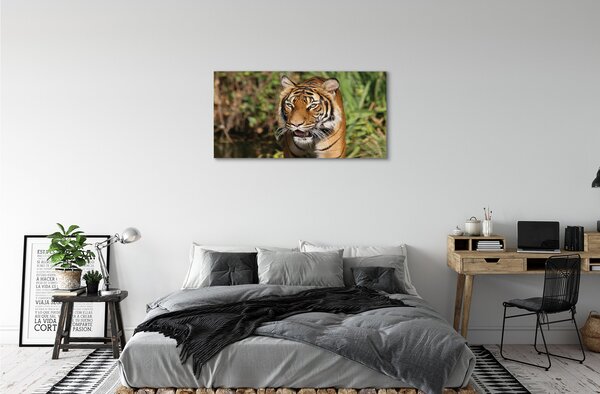 Tablouri canvas Woods tigru