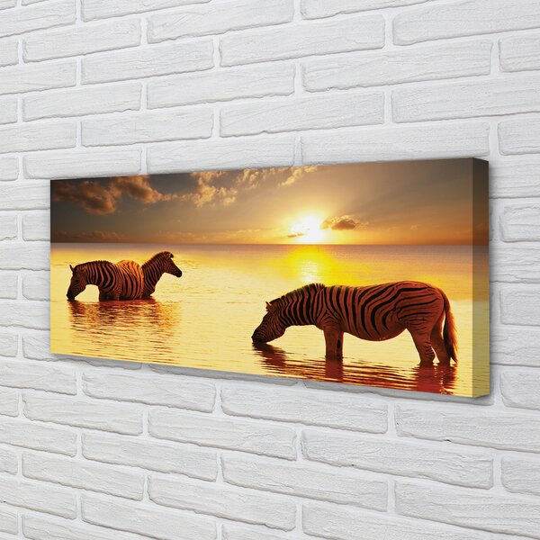 Tablouri canvas Zebre apă apus de soare