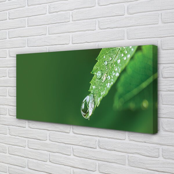 Tablouri canvas leaf picătură de apă