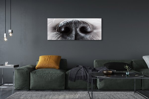 Tablouri canvas nasul câinelui