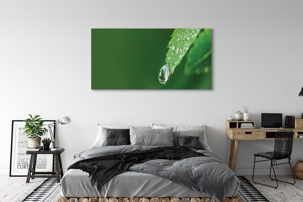 Tablouri canvas leaf picătură de apă