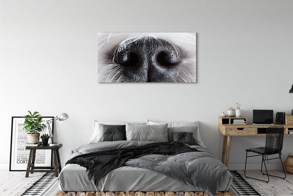 Tablouri canvas nasul câinelui