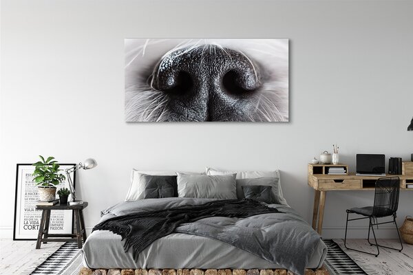 Tablouri canvas nasul câinelui