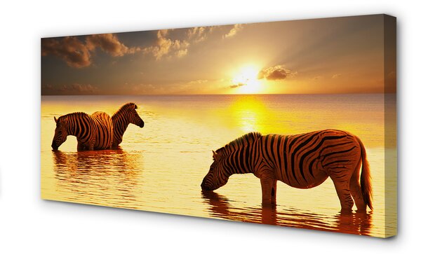 Tablouri canvas Zebre apă apus de soare