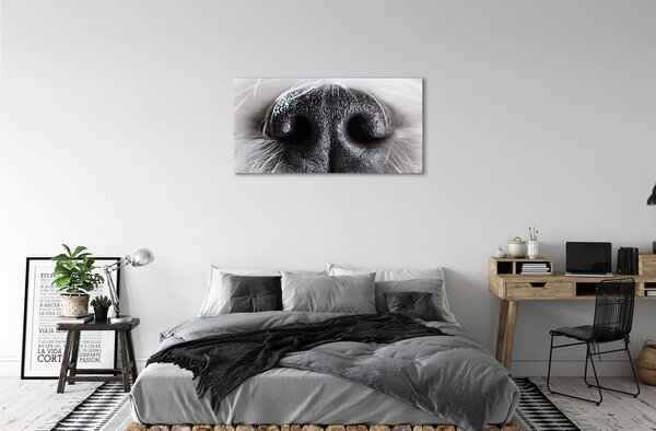 Tablouri canvas nasul câinelui