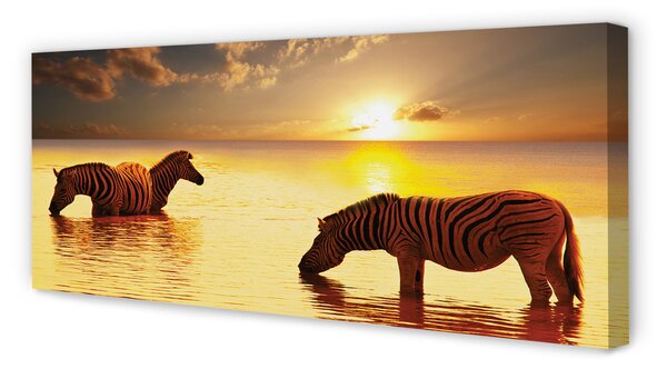 Tablouri canvas Zebre apă apus de soare