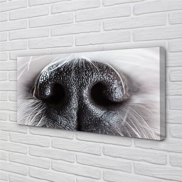 Tablouri canvas nasul câinelui