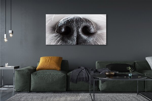 Tablouri canvas nasul câinelui
