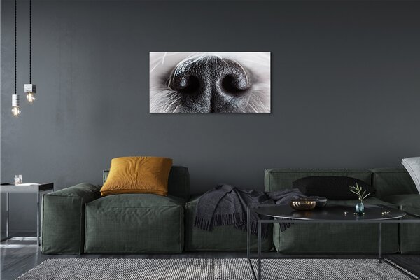 Tablouri canvas nasul câinelui