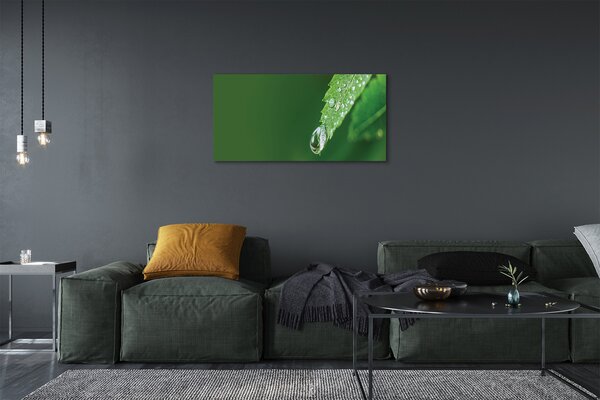 Tablouri canvas leaf picătură de apă