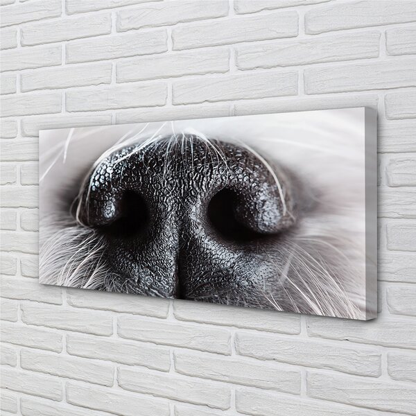 Tablouri canvas nasul câinelui
