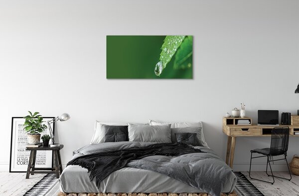 Tablouri canvas leaf picătură de apă