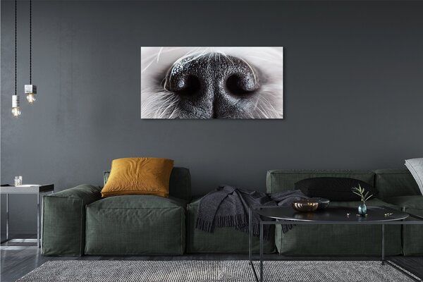 Tablouri canvas nasul câinelui