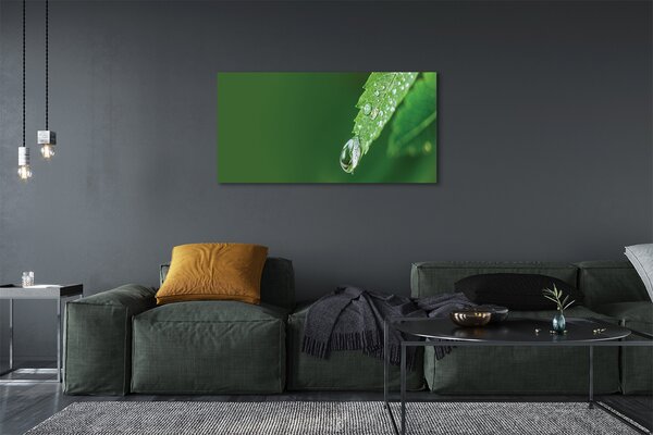 Tablouri canvas leaf picătură de apă