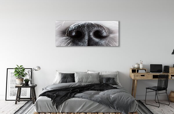 Tablouri canvas nasul câinelui