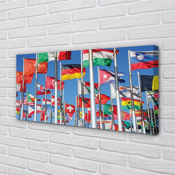 Tablouri canvas Steag