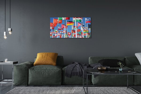 Tablouri canvas Steag
