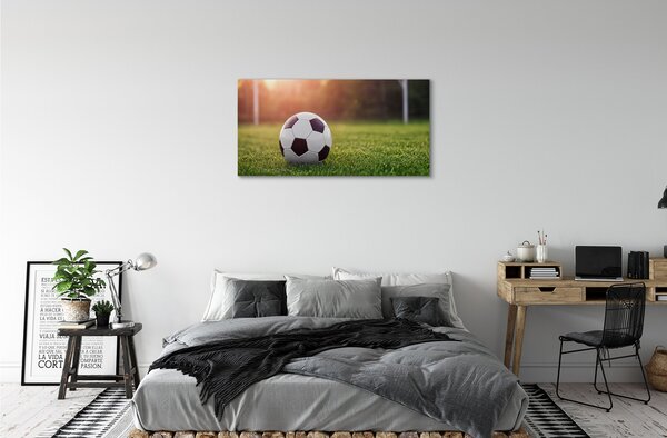 Tablouri canvas gateway-ul de fotbal cu gazon