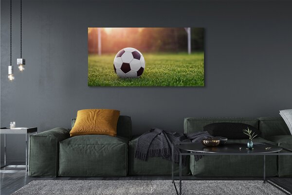 Tablouri canvas gateway-ul de fotbal cu gazon