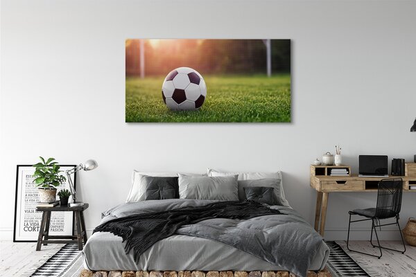 Tablouri canvas gateway-ul de fotbal cu gazon
