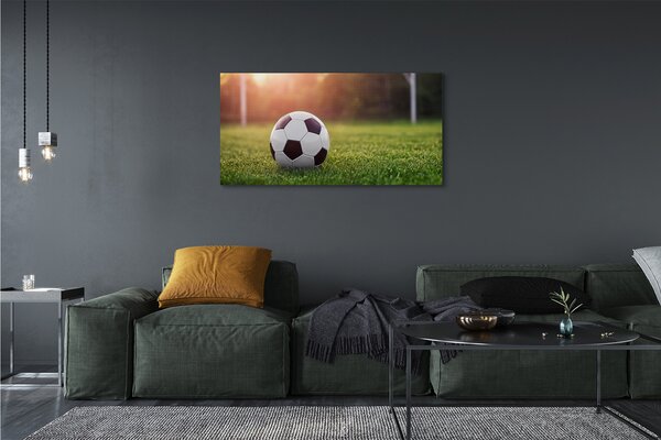 Tablouri canvas gateway-ul de fotbal cu gazon
